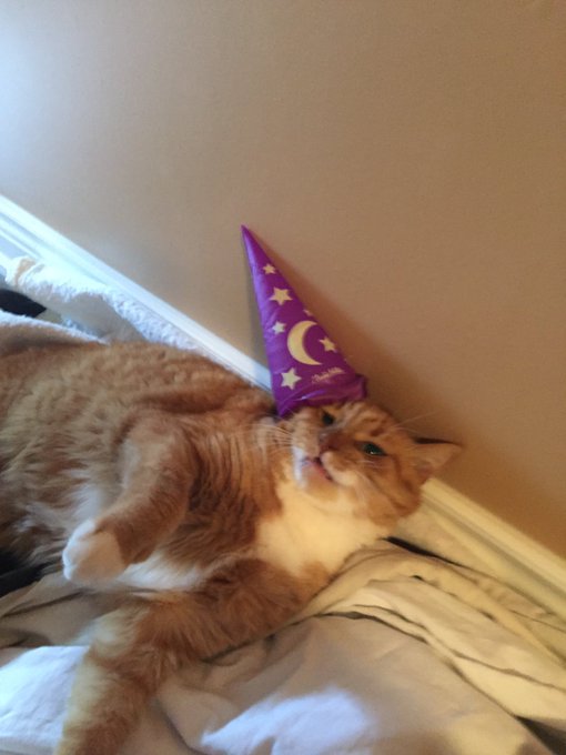 Well that didn't last long. https://t.co/iwnqnVuXus