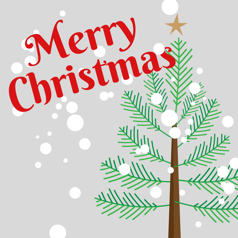 StateLineBag's tweet photo. Merry Christmas! https://t.co/jVpsoBdT2L