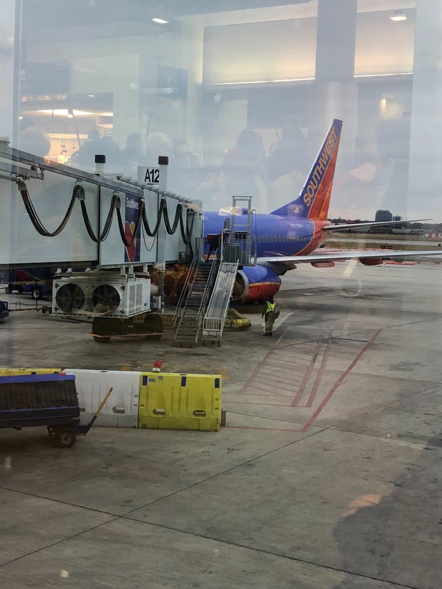 bigbearstrauss's tweet photo. Summer and I are celebrating our first Christmas as a married couple! Can’t wait for a great Christmas flight with @SouthwestAir #lowfairs #bagsflyfree https://t.co/O2YezlHox4