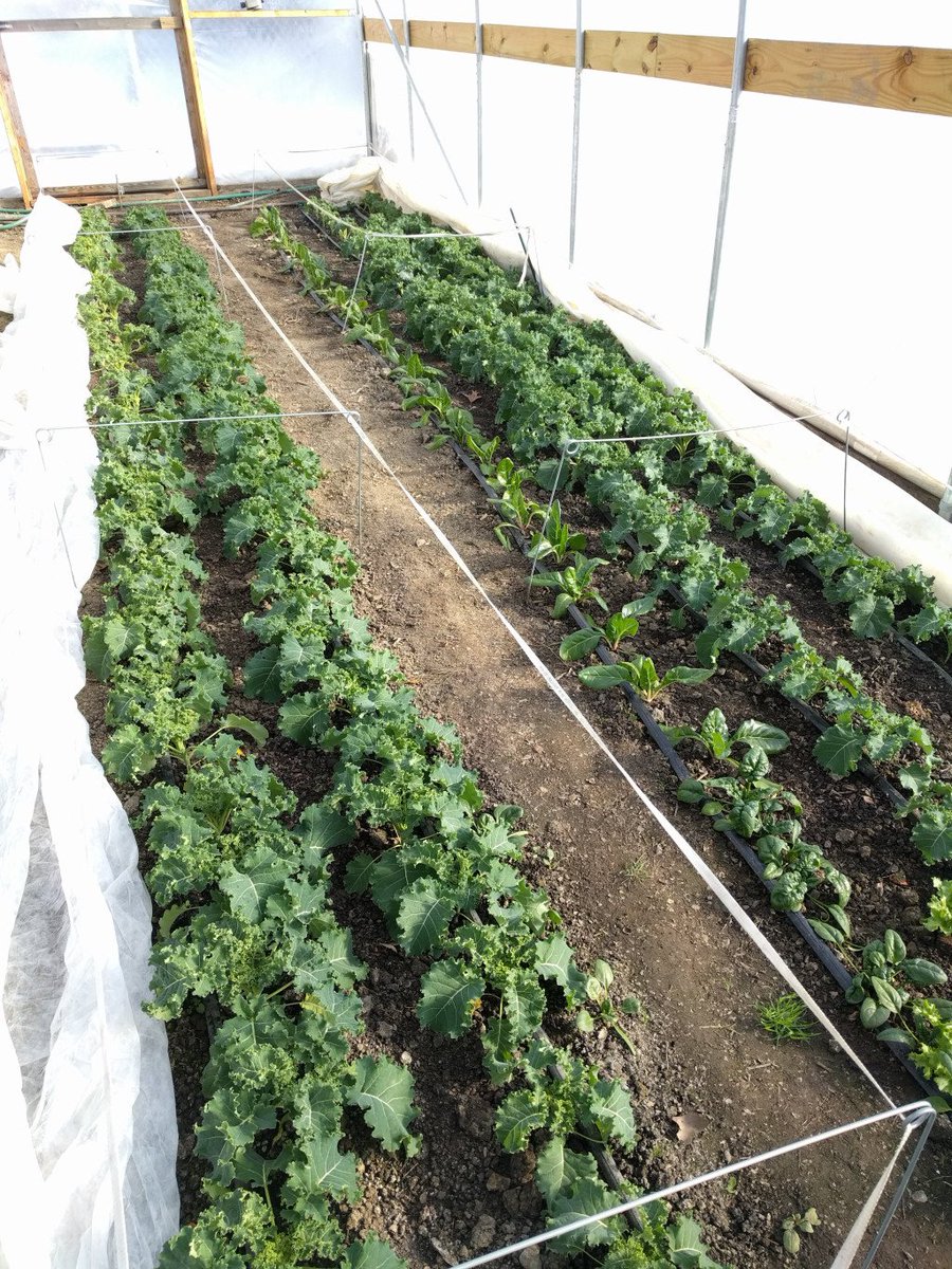 2017 – a look back baybranchfarm.com/2017/12/25/201…