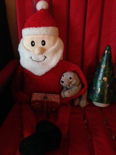 Ugmugg's tweet photo. When you get to hang with Teddy Santa after the big day, and read a great story together 🎄🎅 📚 So exciting! Happy Teddy Christmas everyone 😊 You will hopefully be seeing a lot more of me in 2018 🤞🐻 and I will hopefully be seeing a lot more of you too 👏 Big teddy kisses xxx https://t.co/NhLvvBuNOZ