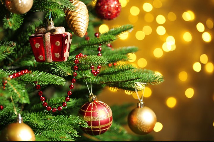 aefp_d's tweet photo. Esperamos que tenham tido um excelente Natal cheio de amor e alegria. Boas entradas para todos e juizinho na passagem de ano 🎅🎇 https://t.co/0gfgbUPm6V
