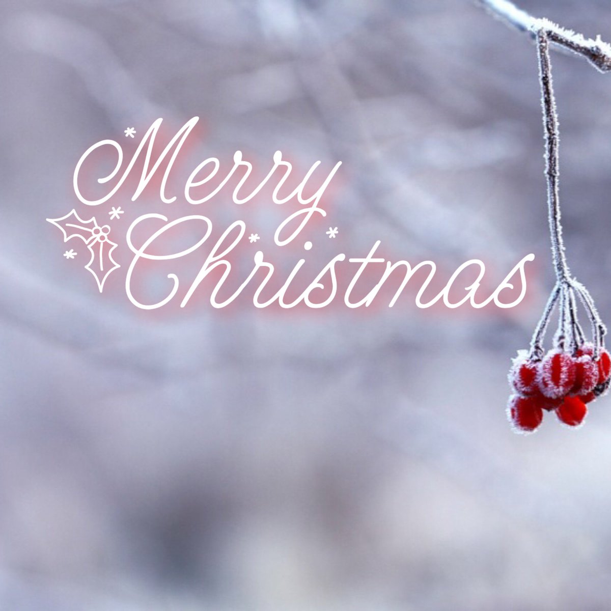 MHReputation's tweet image. Merry Christmas to everyone!