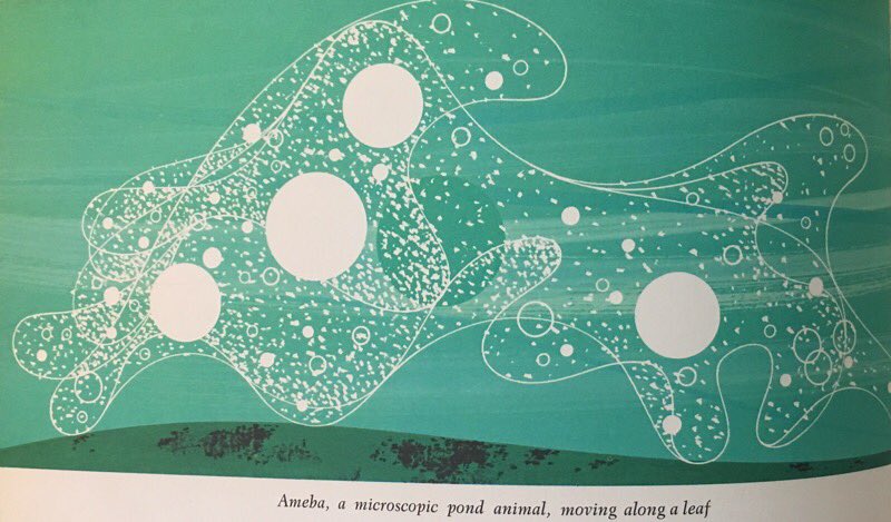 ILL_SPECS's tweet photo. The Giant Golden Book of Biology 
By #GeraldAmes and #RoseWyler 
Illustrations by #CharlesHarper 
©️1961
#charleyharper #nature #color #illustration https://t.co/mH1zBLvrjg