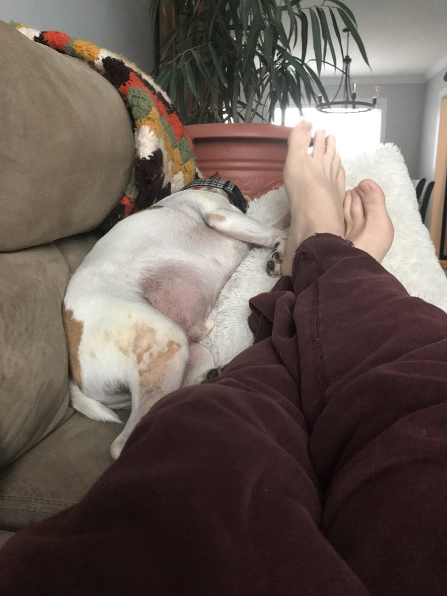 Rob_Scanlan's tweet photo. Nap before the next feeding. #almostturkeytime #christmasnap https://t.co/4aWGcZQxMu