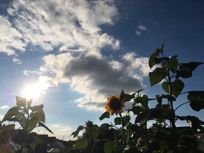 يارب ابعد عني ضيقة تُؤلمني وفكر يُقلقني،ربي ان نمت على ضيق فأيقظني على فرح