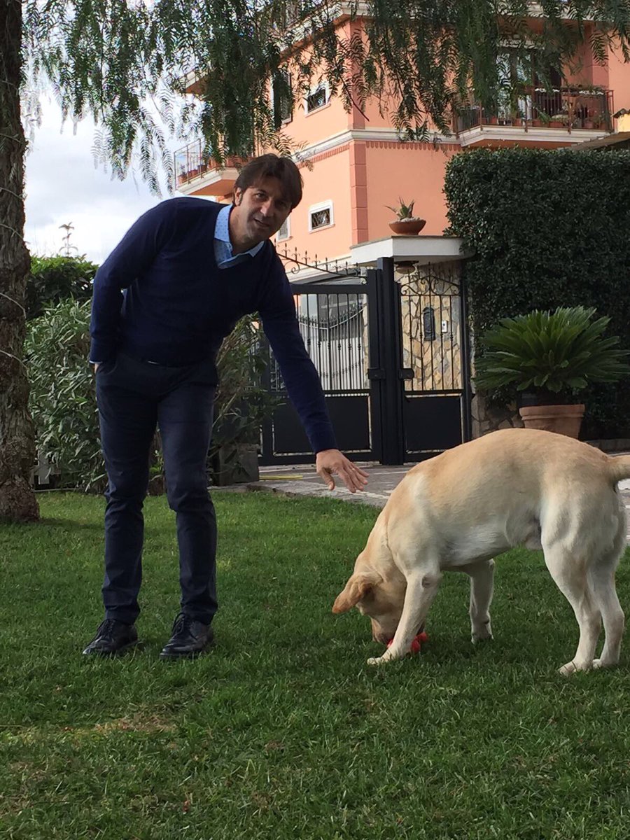 Massimo Rastelli tweet media