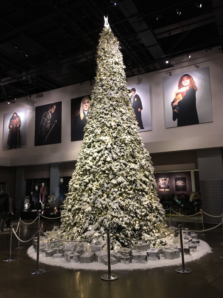 DR6aqi2W4AIJH41.jpg:large