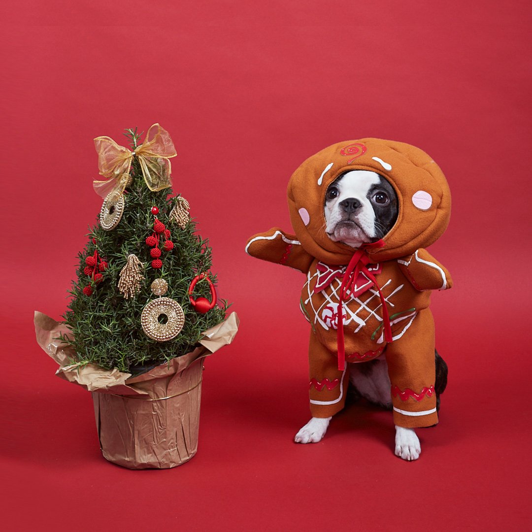 Hoping this photo of Mario makes your day all the merrier. (He decorated that bauble tree all by himself, by the way.)