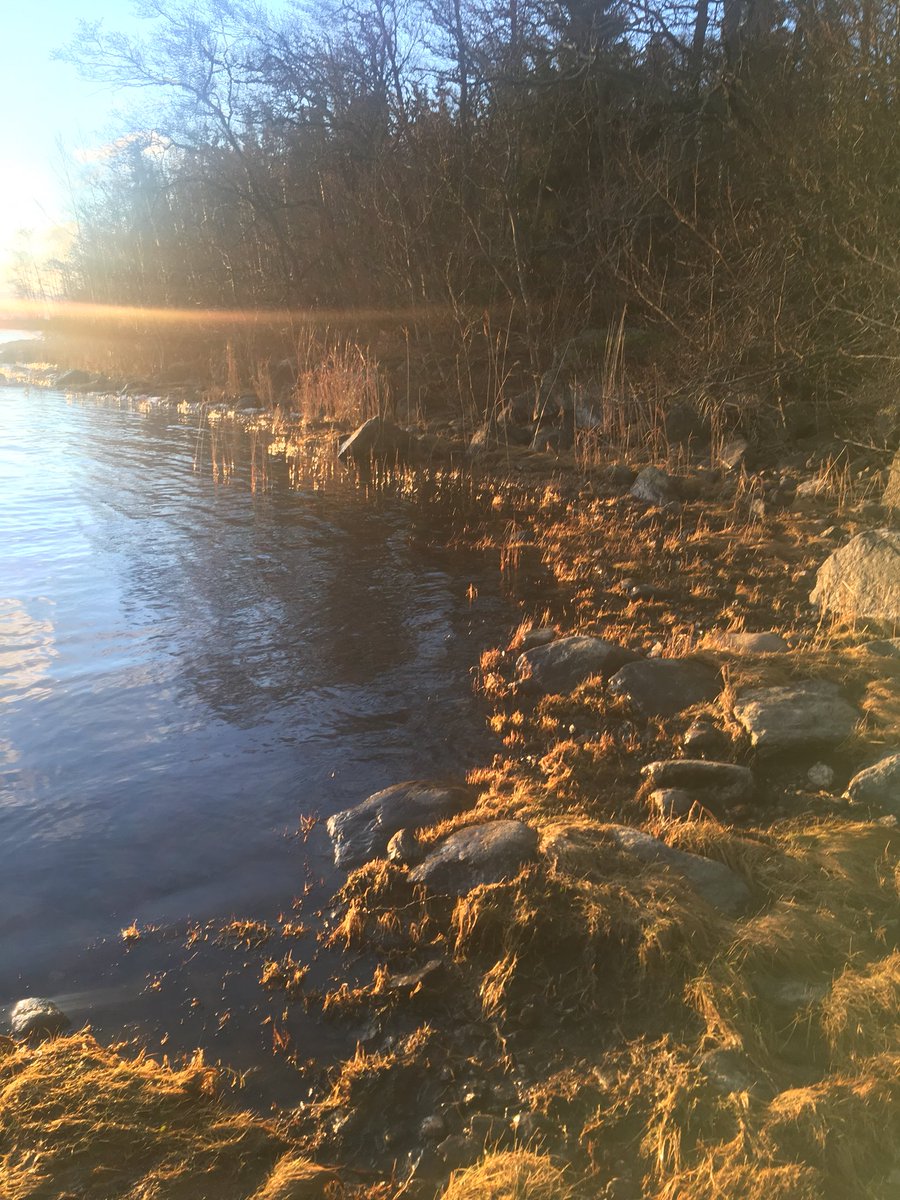MarisaKerman's tweet photo. @realDonaldTrump Dear president Trump: Christmas Eve lovely weather but we are missing the snow and frozen sea. Wish for Christmas  #stopglobalwarming #usafirst #finlandsecond #formychilden #christmastradition 61°10′00 ″N, 23°52′05″E https://t.co/o8IcIbIw55