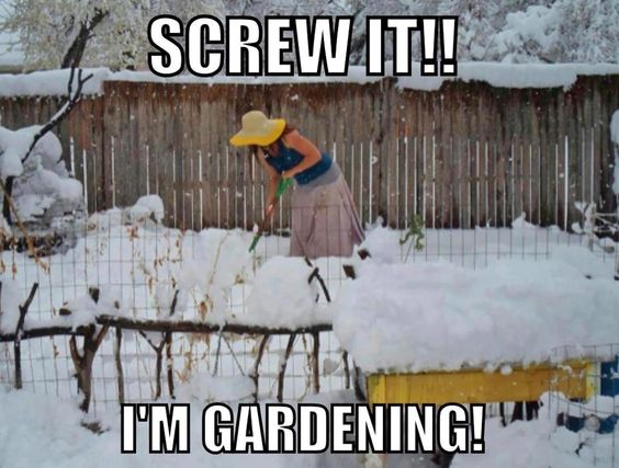 YardProduct's tweet image. What a brave human being! #landscapinghumor #gardeninghumor