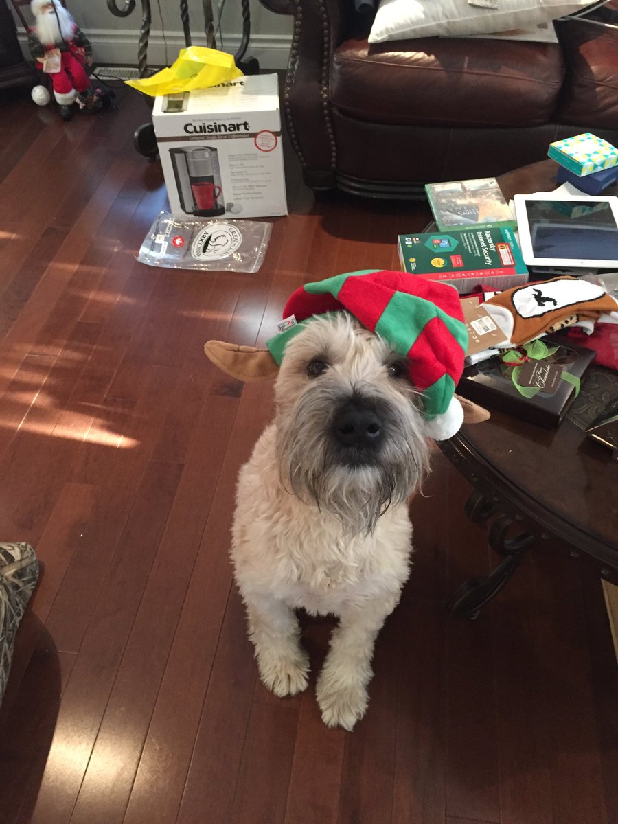 briancritch's tweet photo. Merry Xmas from the MAC #ymm #scwt #wheatons #nfldhome https://t.co/Yw37xS5V56