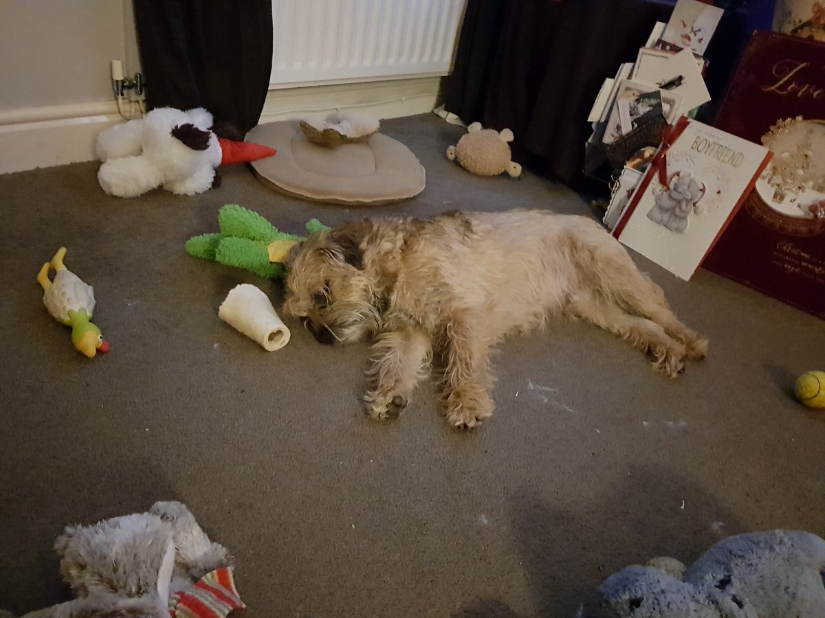 Russ_inator's tweet photo. Christmas day.. done... https://t.co/DdDjpMjmlh