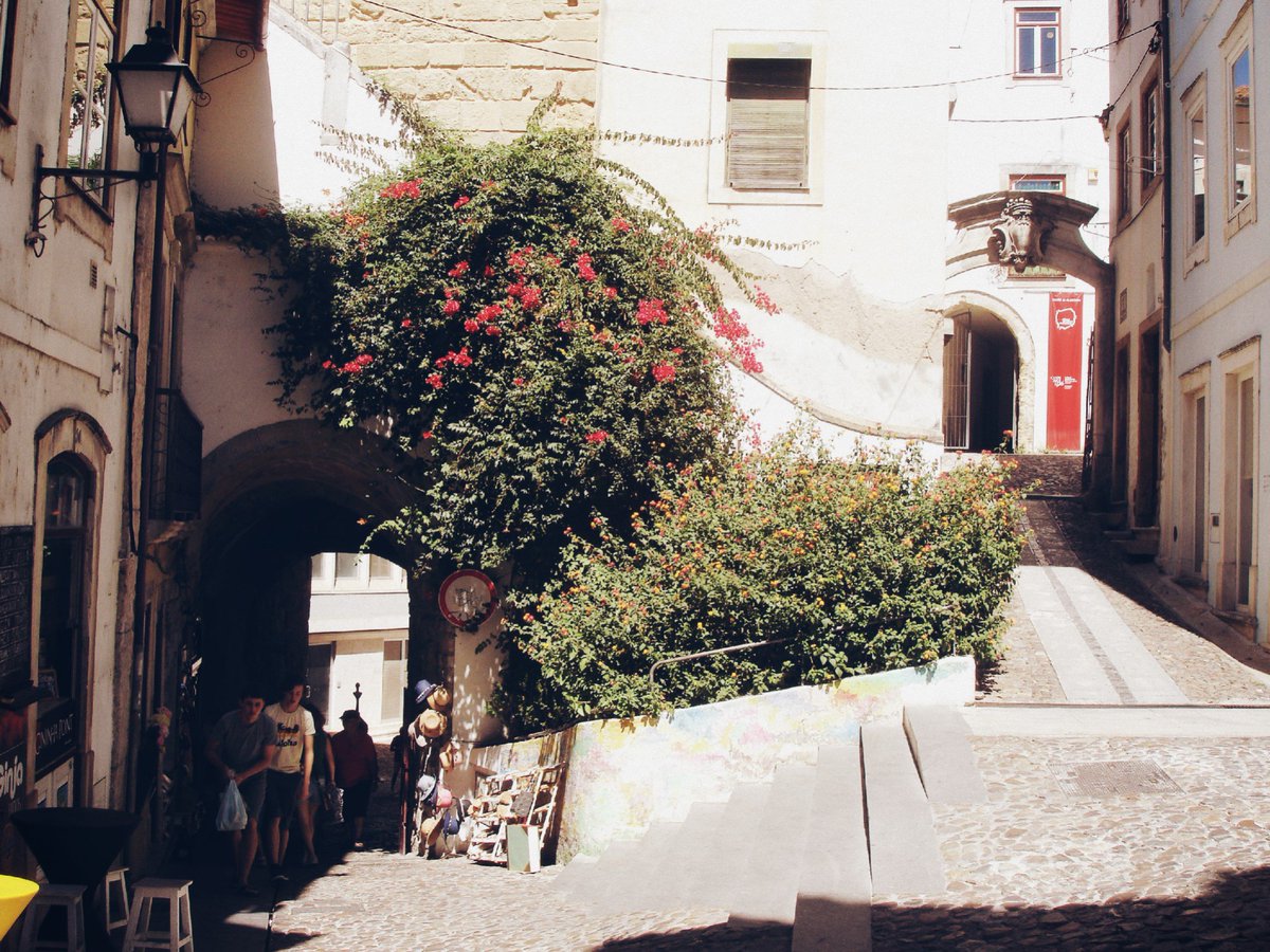 diana_therose's tweet photo. #Coimbra #streetsofCoimbra #Coimbrastreets #flowers #flowerwall #Portugal #Europe #travelphotography #trip #travel #travelgirl #history #beautifuldestinations #beautifulconstructions #beautifulplaces https://t.co/SiXL016Gzq