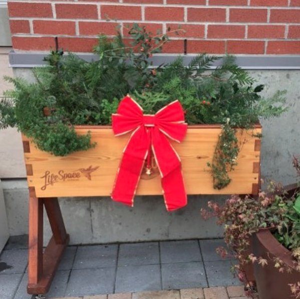 Merry Christmas to those of you who celebrate! May your day be filled with love and laughter and seasonal veggies ;) Photo from <a href="/FoodEcoDistrict/">FED Victoria</a>