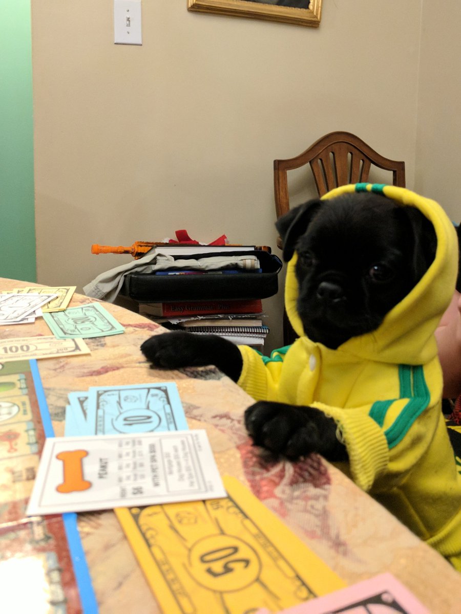 ActorXavierWolf's tweet photo. Winning at #Pugopoly #merrypugmas https://t.co/YXonzeqIWP