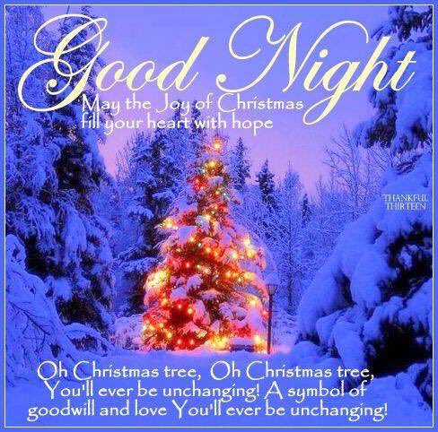 FlaviaF_1310's tweet photo. May the joy of #Christmas fill our hearts with renewed hope and dreams 💫❄️✨#ChristmasDay2017 #MerryXmas #BuonNatale #JoyeuxNoel #FelizNavidad2017 #HappyChristmas #HappyHolidays #merrynight #sleeptight #sognidoro 🌠 https://t.co/YGWXJQTusN