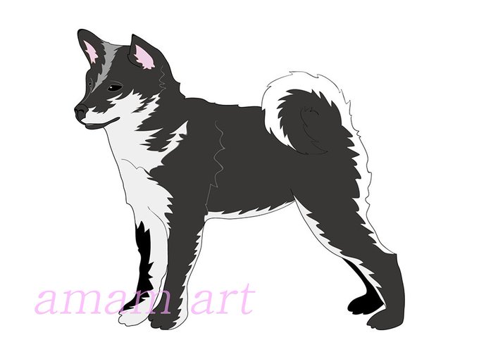 黒柴のtwitterイラスト検索結果 古い順 黒柴のtwitterイラスト検索結果 古い順