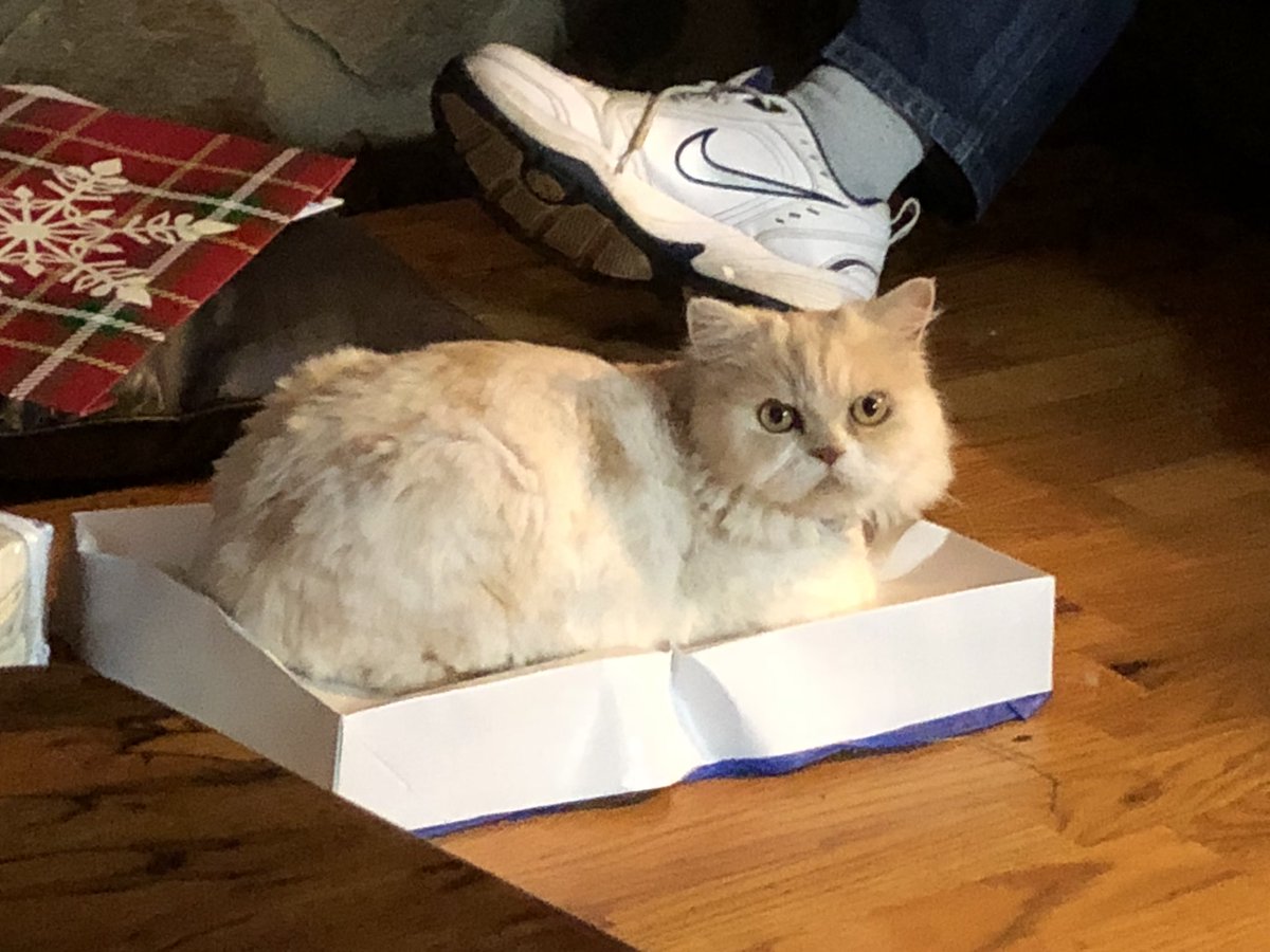 nerdy_ink's tweet photo. If I fits I sits https://t.co/gKIaoCypZM