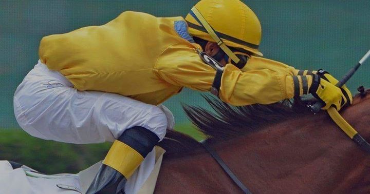 RaceBiz tipping membersips come wuth more than just which horse to back.  Information, advice and personal service form a complete package and will put you on the winning path.  See what is on offer: buff.ly/2ptc5ny