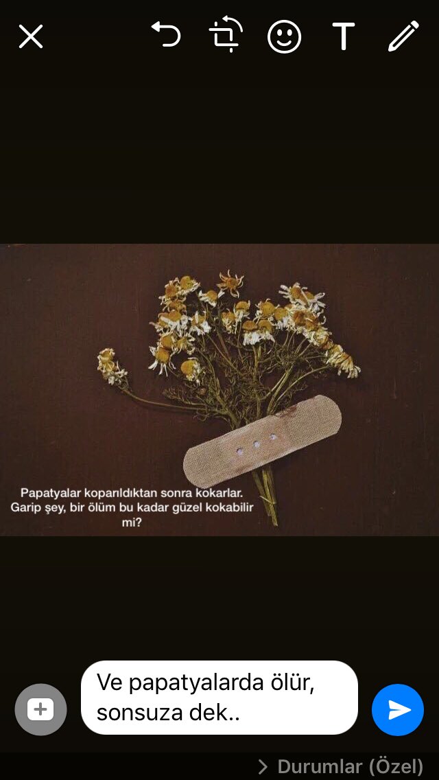 DefresifPolyana's tweet photo. Garip şey https://t.co/VANjNAGYOd