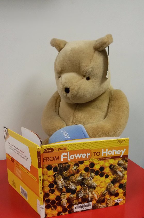 houstonlibrary's tweet photo. On the 8th day of Winter Reading, my true love gave to me: Pooh Bear reading about honey! Read at least 10 minutes a day for 10 days, and get a free book &amp; a sweet treat. Sign up here: https://t.co/ZdUPFVcVPw #HPLWinterReading #ILoveHPL #books #bookstagram #winnie #winniethepooh https://t.co/JKlPF2j6tS