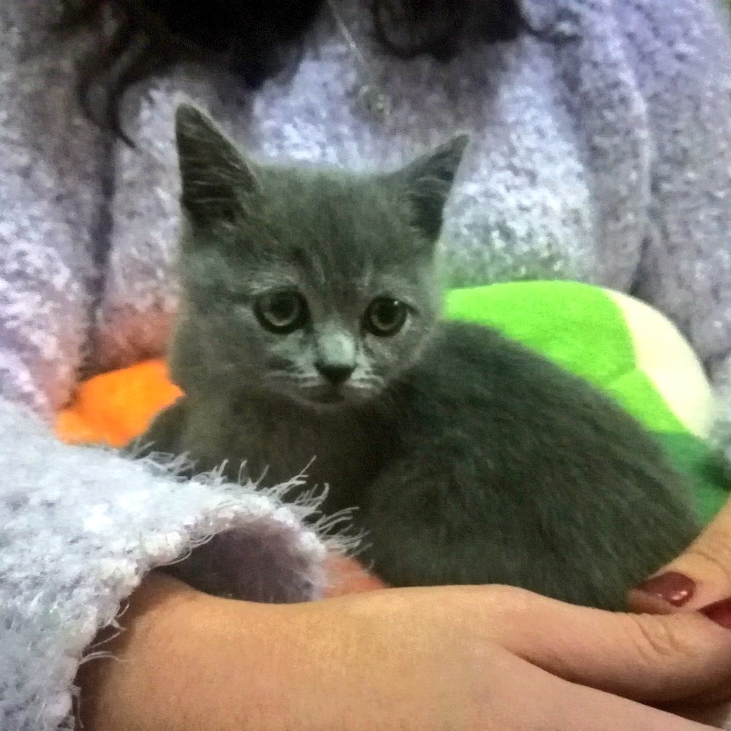 TENHO UM NOVO BEBÉ. Não tem uma perna :( I love him already.