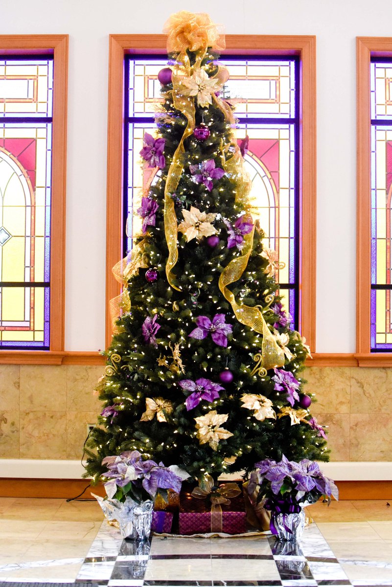 CJAphotogRaphy's tweet photo. @themzbc @leonardnsmith @RevYayaB Merry Christmas #betterIn2017 #ChristmasEve2017 https://t.co/9fFnJmuQGn