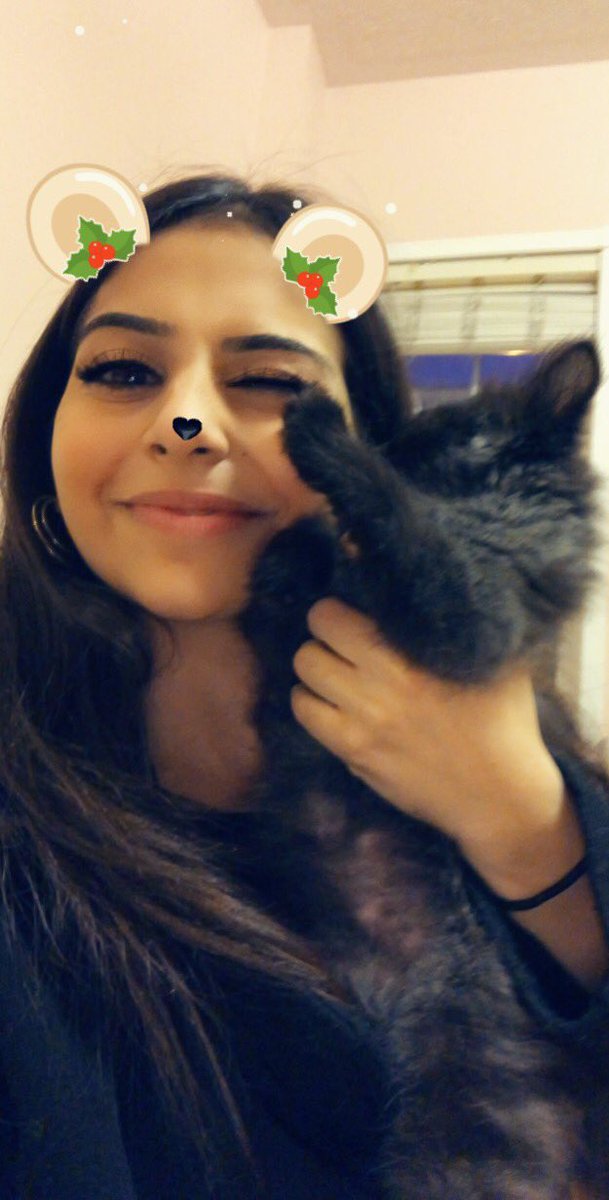 aiceBackupcenb's tweet photo. When you try to take a cute Christmas picture with your cat but he just isn’t having it.. https://t.co/gB8AiJA4cd