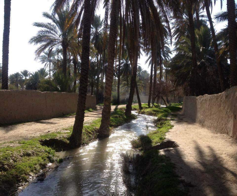 .

من بساتين و انهار #مندلي في محافظة #ديالى ، 
.
.

#Baghdad 
#نبض_بغداد
