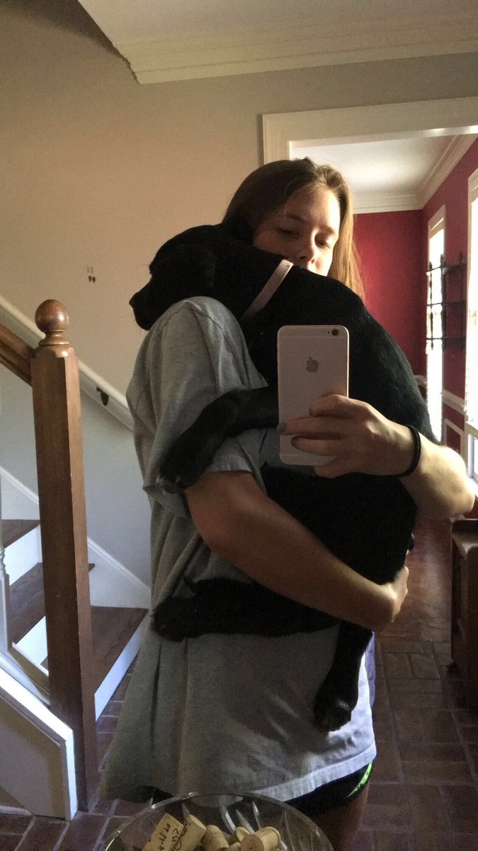 alliebates42's tweet photo. 3 months
6 months
9 months
1 year
Love my pup💛 https://t.co/YyKyI6CvKP