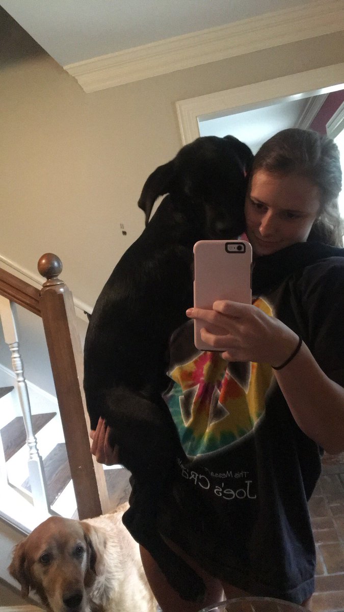 alliebates42's tweet photo. 3 months
6 months
9 months
1 year
Love my pup💛 https://t.co/YyKyI6CvKP