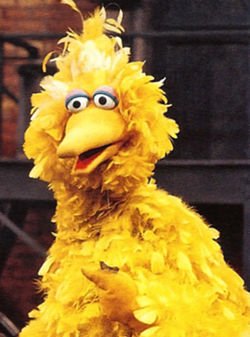 Happy Birthday Caroll Spinney! 