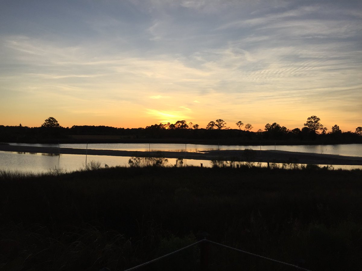 brouwman's tweet photo. Sunset Christmas https://t.co/Tgj0WU5Ynv