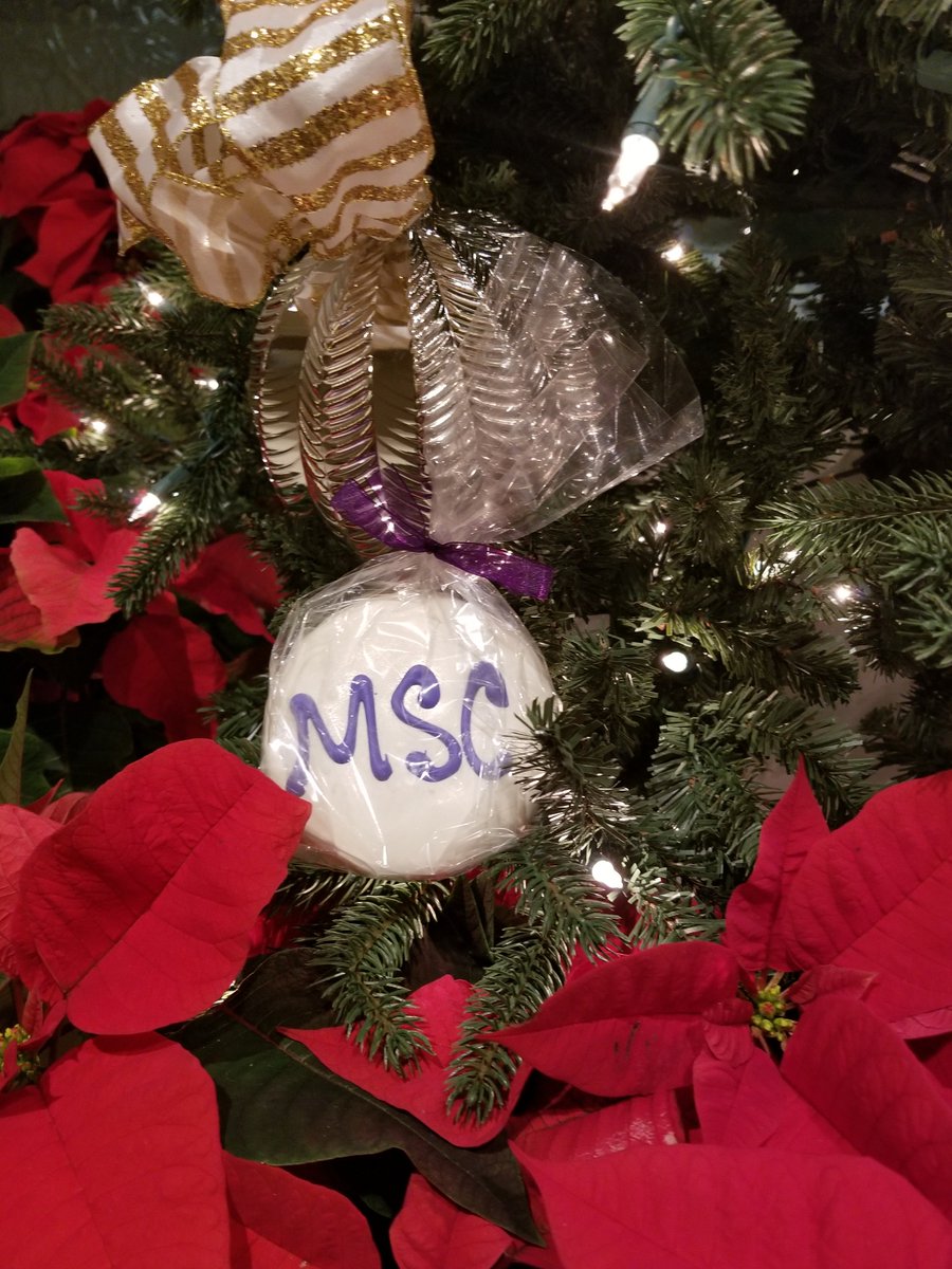 rawselby's tweet photo. Happy holidays @NorthwesternMSC! #MSCHLP18 https://t.co/rijMPDxFsY