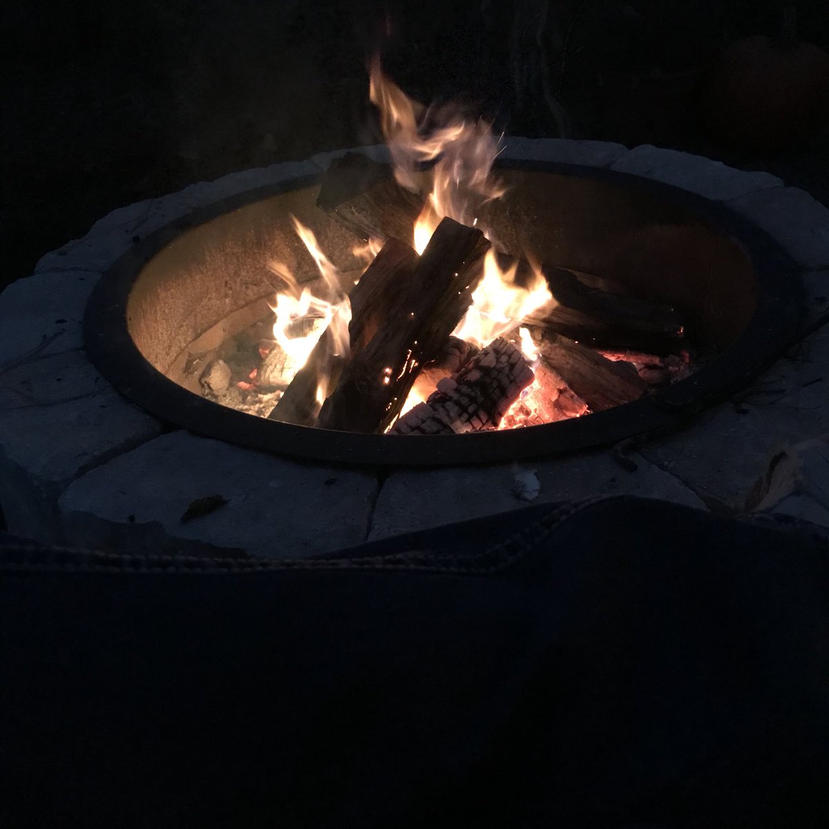 Merry Christmas and Happy Chanukah to all! Enjoying a Florida Christmas.