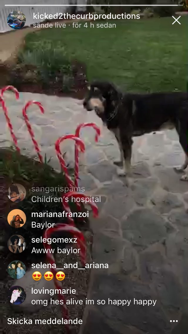 ZEWildcat14's tweet image. And people said Baylor was dead ... 😡😡😡 #stopassumingthings #awwhegottensobig #yaynowheandcharliecanplay #baylorgomez