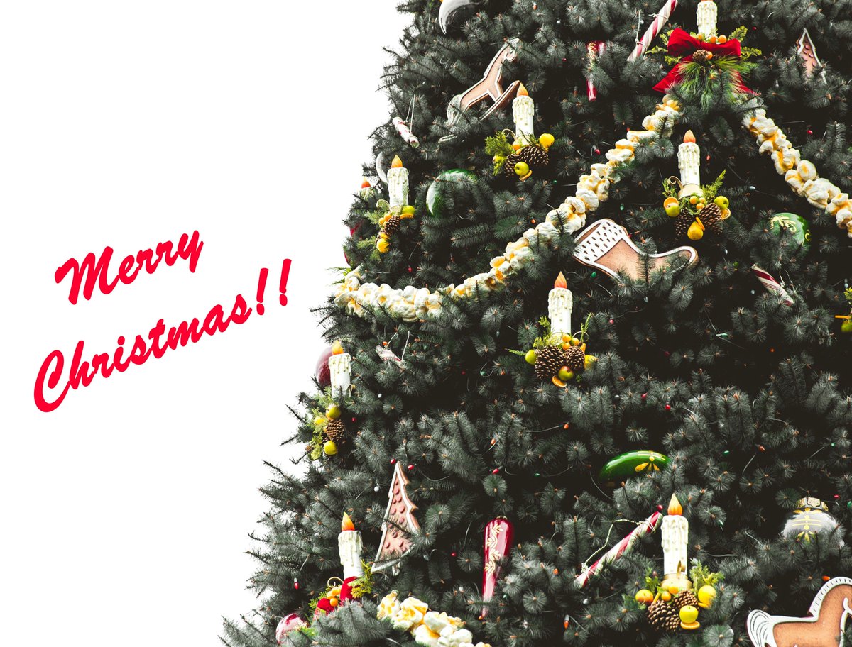 A very merry Christmas to you all! 🎁🎄
In the spirit of Christmas, we've written a new blog post on some of the special and sometimes weird #Christmas traditions across Europe that you've probably never heard of! Read the post here: bit.ly/christmastradi…