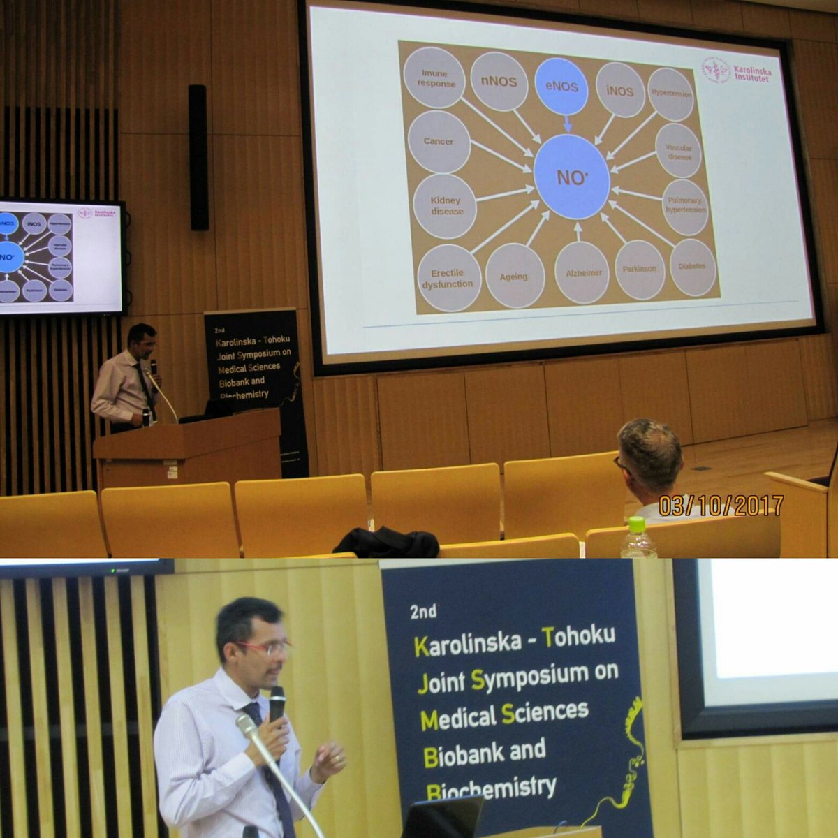 MMarmeloMartelo tweet media