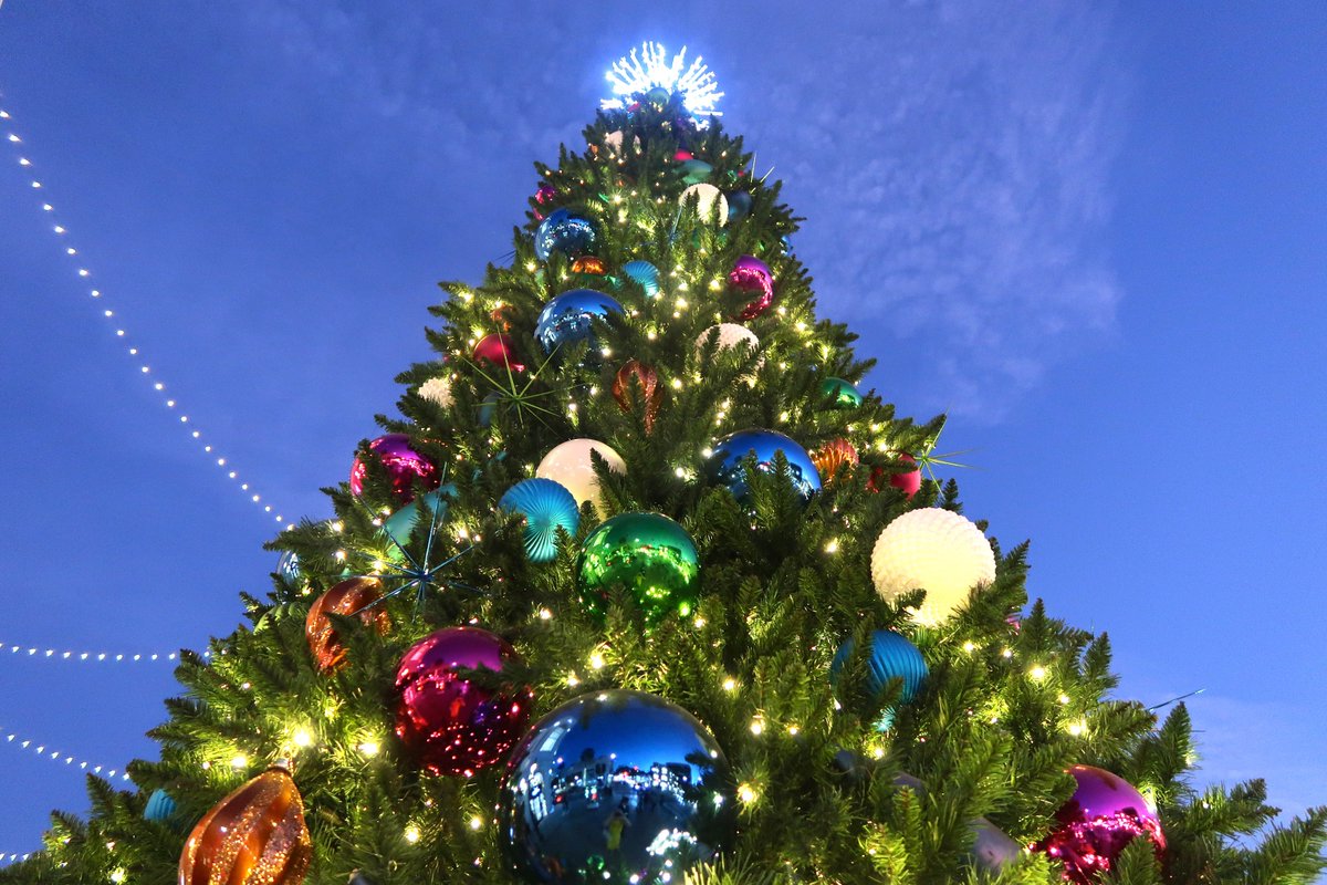petia_p's tweet photo. Christmas mood on Via Rodeo.💚 #Christmas #tree @RodeoDriveBH #RodeoDrive @TwoRodeoDr #magic #ViaRodeo #bright #beautiful #holiday #lights #BeverlyHills #lovebevhills @LoveBevHills #christmastime #lalaland #happyholidays #ontworodeo #Christmasmood #la #onlyonrodeo #boldholidays https://t.co/DTjUWruhIc