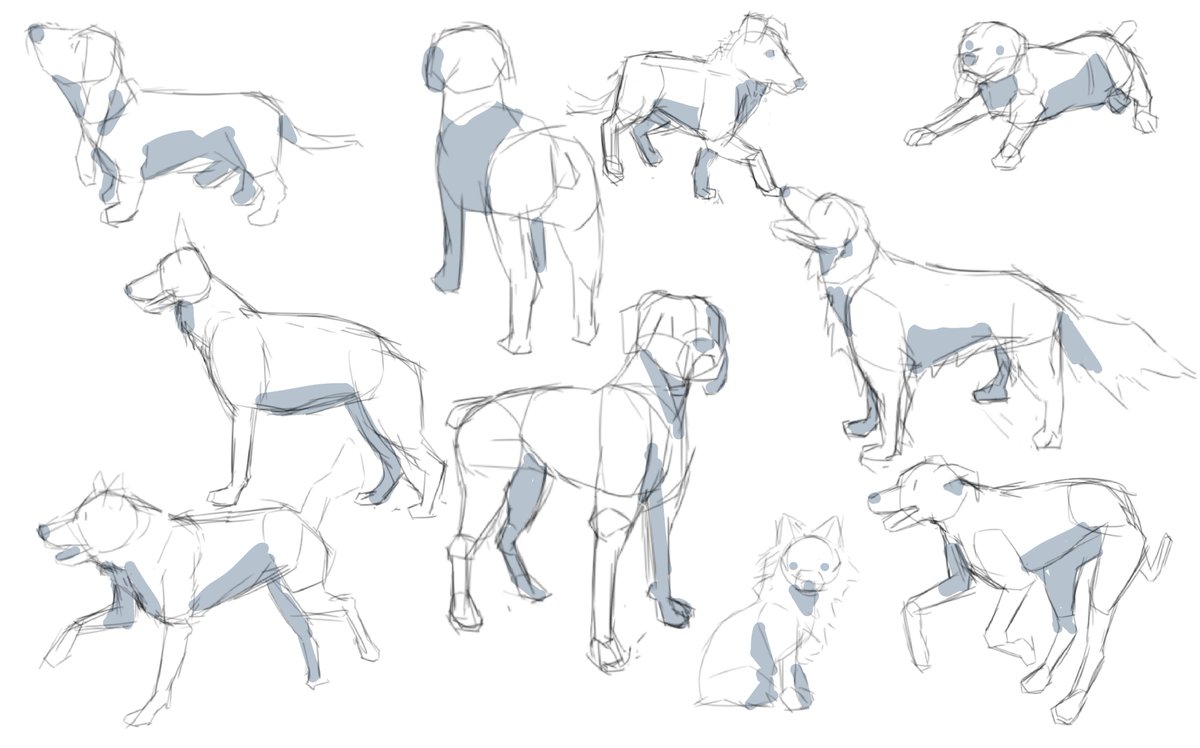 T_spencil's tweet image. Been drawing other things than just Gals and guys, my first time drawing dogs and I'm quite chuffed!

#drawstuff #drawing #art #anime #dogsoftwitter #dogs
#manga
