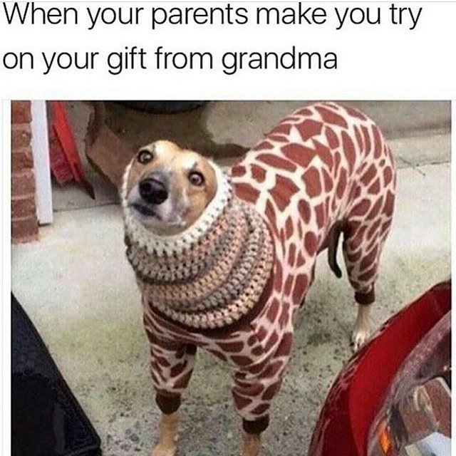 WishstoreUK's tweet photo. We're guessing g you didn't share your Wishstore List with grandma 😂🌲 Merry Christmas Everyone! https://t.co/ez8xCjFvCz https://t.co/axsA4vTU2A