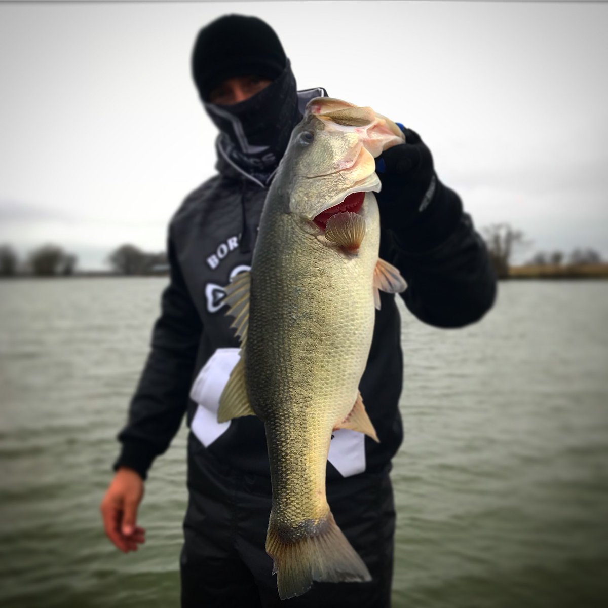 buddy_evans's tweet photo. Christmas Eve Bassn...👍🏼👍🏼🎣 https://t.co/9HvhA2mxSr