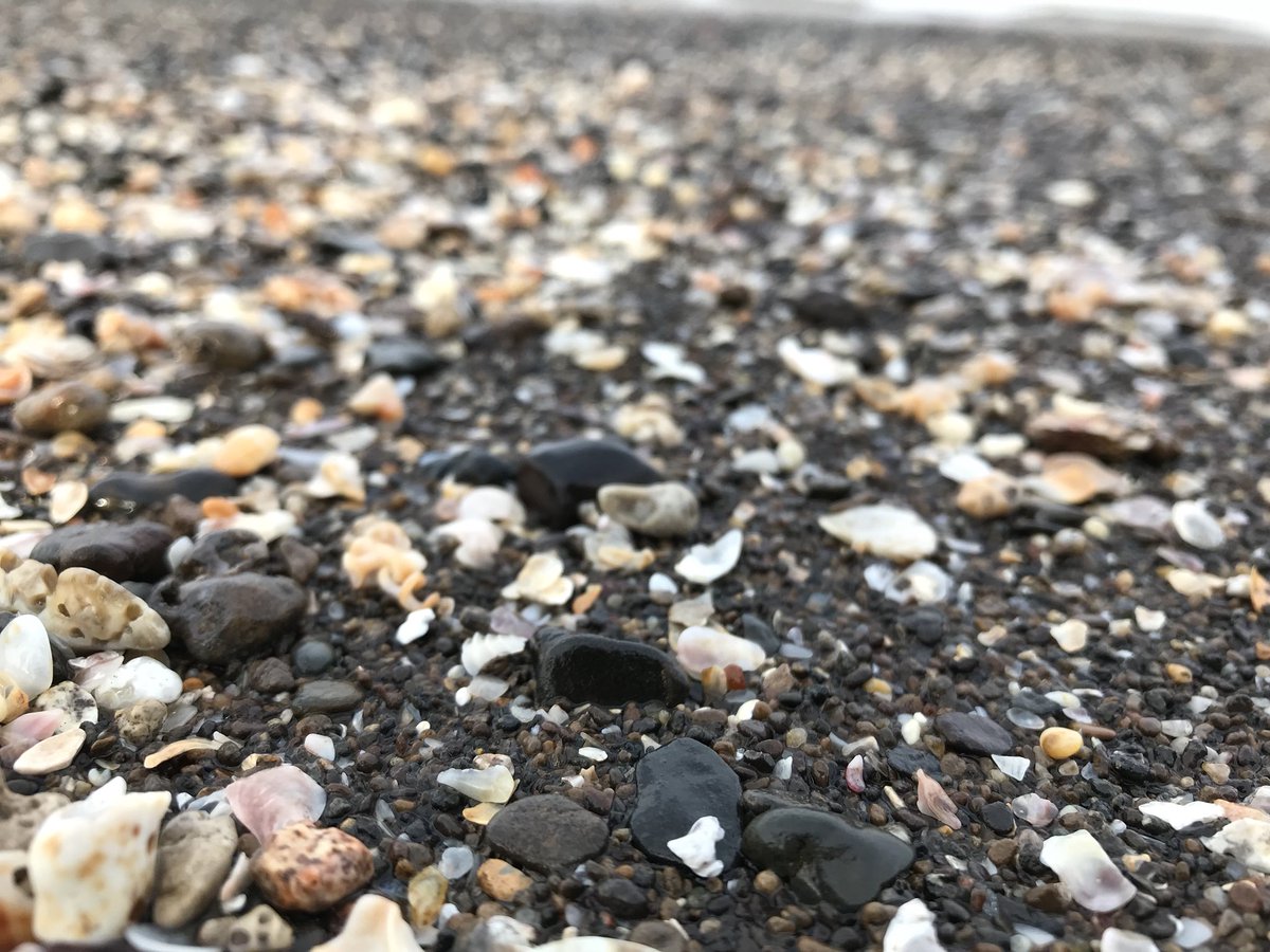 deepal_shinde's tweet photo. Every grain of sand has its own story, just have patience and feel it #beachlife #peaceofthebeach https://t.co/rVpLo6afad