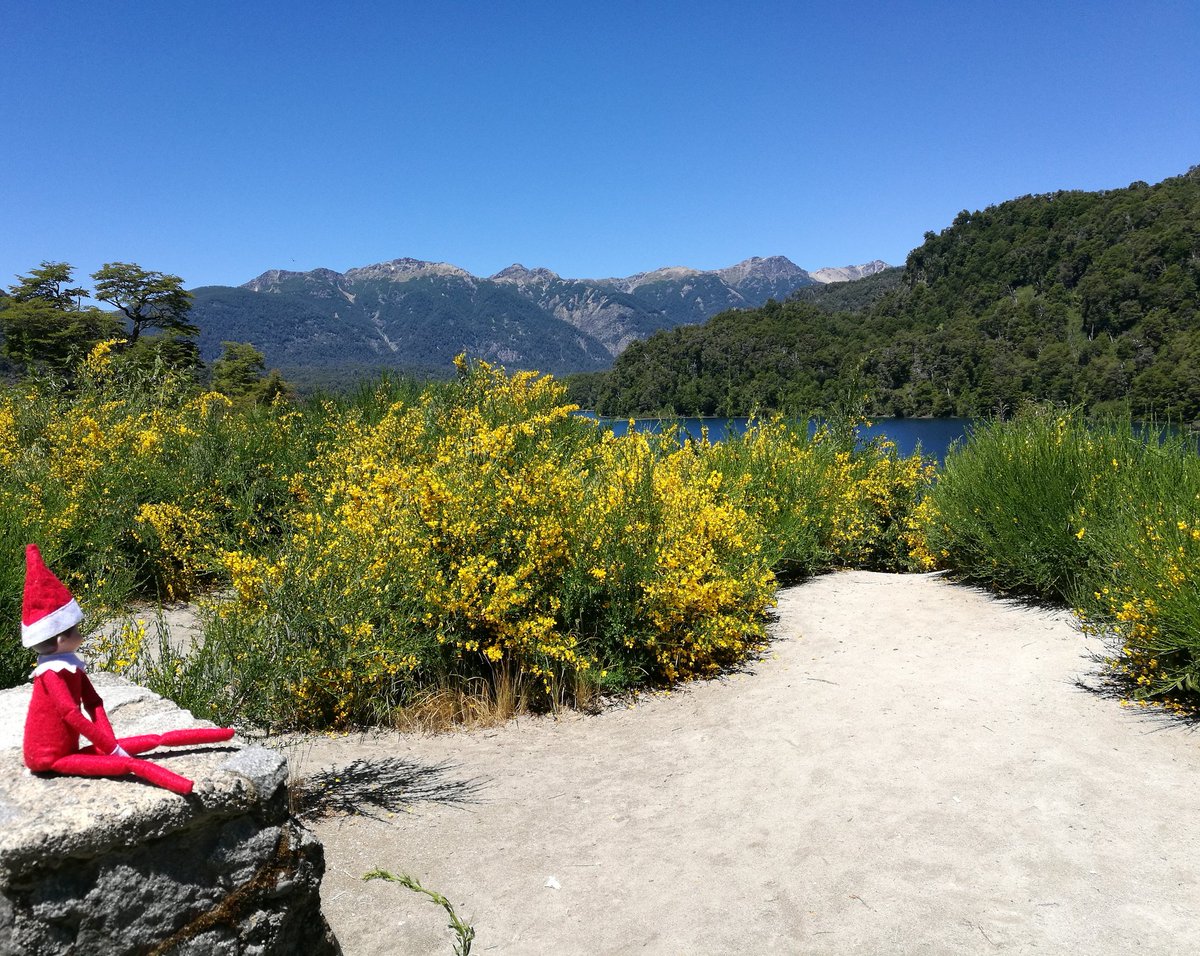 MartaCwiertnia's tweet photo. Happy Holidays postcard from Argentina ❤ #argentinatrip #patagonia #elfontheshelf #elfbuddy #MerryChristmasEveryone #nofilter https://t.co/borzVXi5w1