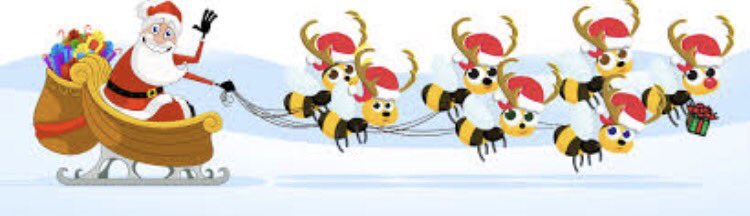 I hope everyone is having a great winter break! Happy Holidays from WGHS STUCO!🐝
