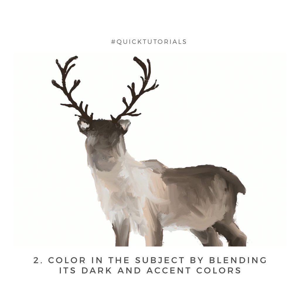 Paper Pirate tweet media