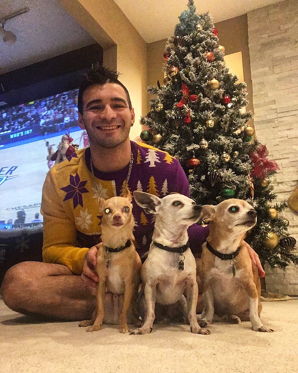 CAStoinev's tweet photo. Merry Christmas from me and mine 🐶🐶🐶 to you and yours! #Percy #Scooby #Prince https://t.co/bhLiS5s8BF