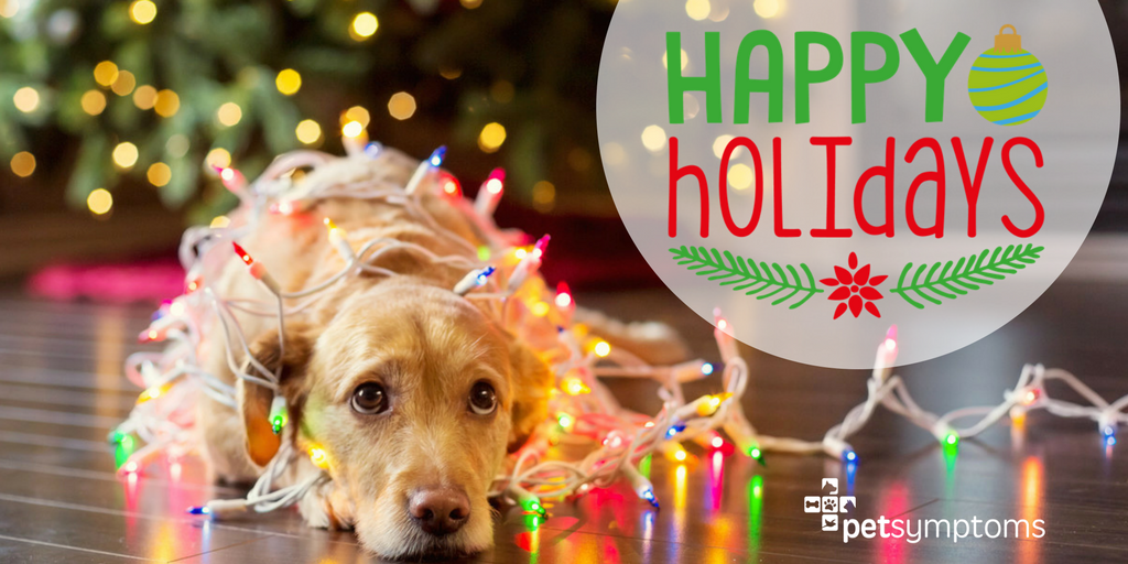 pet_symptoms's tweet photo. 'Tis the #season for more treats! Happy Holidays!
#Christmas #happyholidays #treats #petlife #petsymptoms #holidays https://t.co/4X49BcTXdV