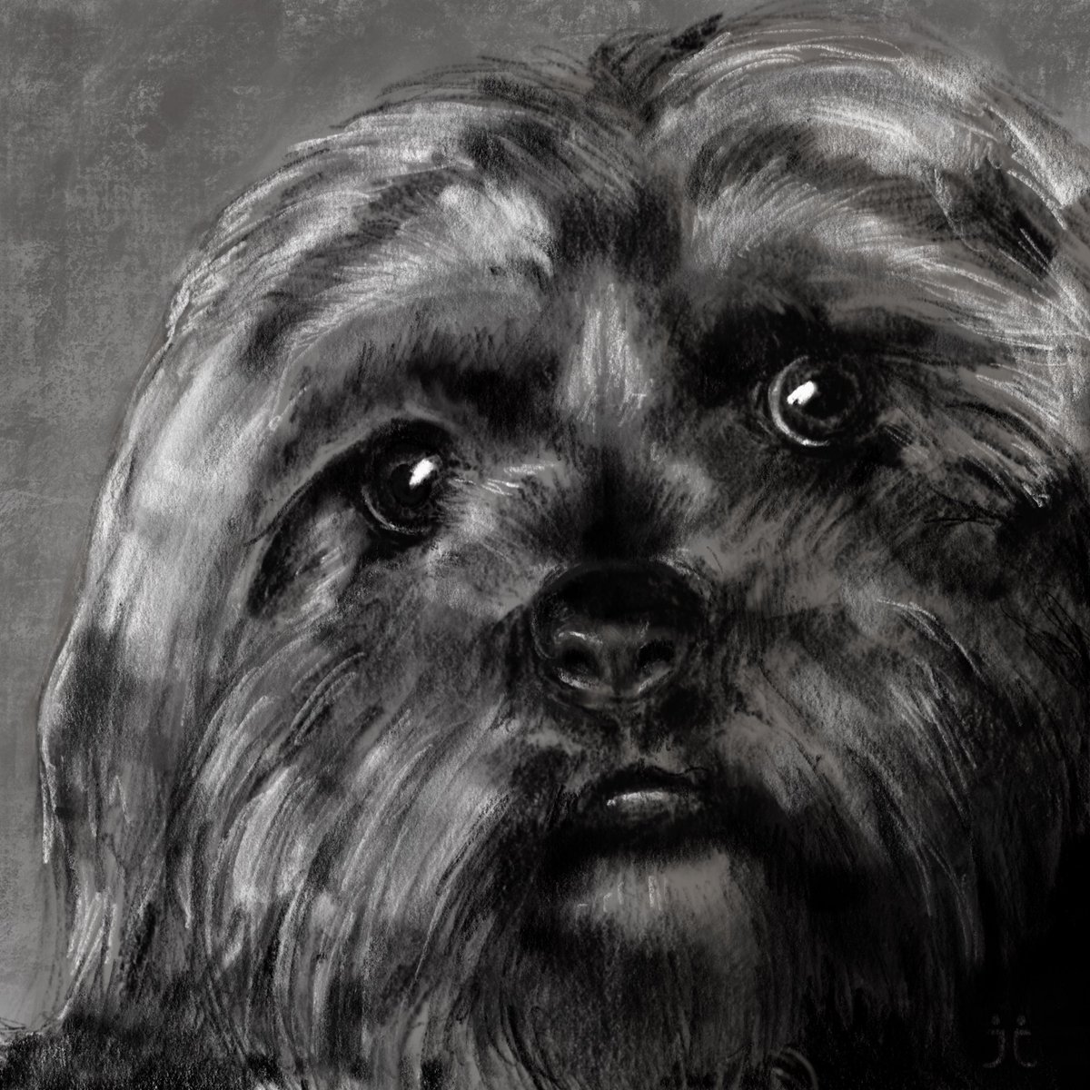 BapzDraws's tweet photo. Pet drawings, woot. I hate drawing fur... https://t.co/0zIDqCmD9A